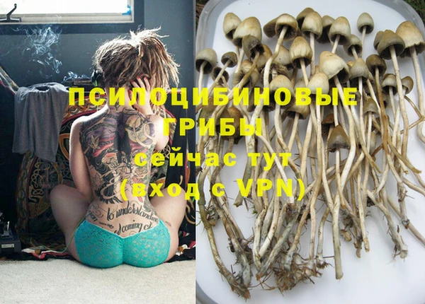 первитин Киренск