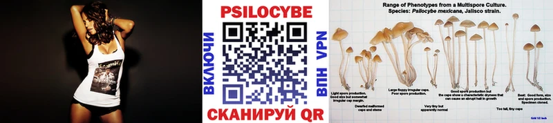 Псилоцибиновые грибы Psilocybe  Купить где  Коммунар 